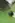 Линолеум IVC Vision Grass T25 (2,5м) 